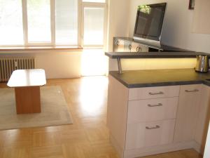 Pronájem bytu 2+kk, Brno - Veveří, Bayerova, 46 m2