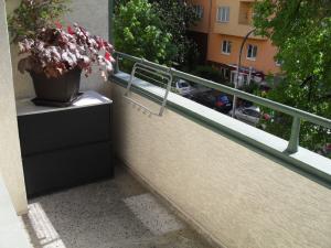 Pronájem bytu 2+kk, Brno - Veveří, Bayerova, 46 m2