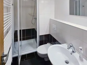 Prodej bytu 1+kk, Harrachov - Nový Svět, 32 m2