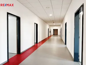 Pronájem kanceláře, Písek - Pražské Předměstí, Vladislavova, 650 m2
