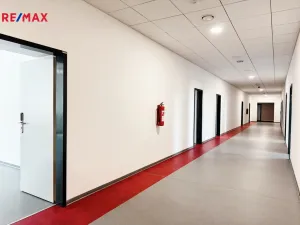 Pronájem kanceláře, Písek - Pražské Předměstí, Vladislavova, 650 m2