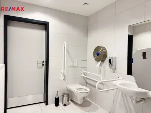 Pronájem kanceláře, Písek - Pražské Předměstí, Vladislavova, 650 m2