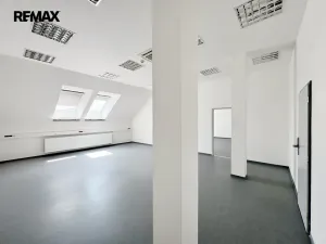 Pronájem kanceláře, Písek - Pražské Předměstí, Vladislavova, 650 m2