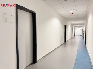 Pronájem kanceláře, Písek - Pražské Předměstí, Vladislavova, 65 m2
