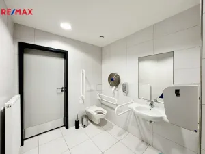 Pronájem kanceláře, Písek - Pražské Předměstí, Vladislavova, 65 m2