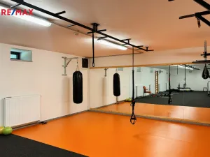 Pronájem kanceláře, Písek - Pražské Předměstí, Vladislavova, 20 m2