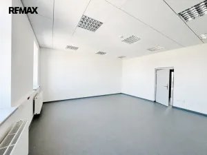 Pronájem kanceláře, Písek - Pražské Předměstí, Vladislavova, 20 m2