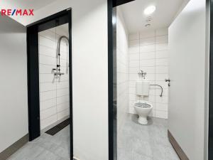 Pronájem restaurace, Písek - Pražské Předměstí, Vladislavova, 362 m2