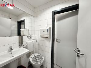 Pronájem restaurace, Písek - Pražské Předměstí, Vladislavova, 362 m2