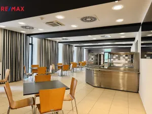 Pronájem restaurace, Písek - Pražské Předměstí, Vladislavova, 362 m2