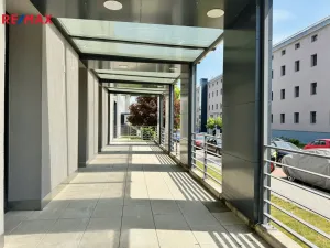 Pronájem restaurace, Písek - Pražské Předměstí, Vladislavova, 362 m2