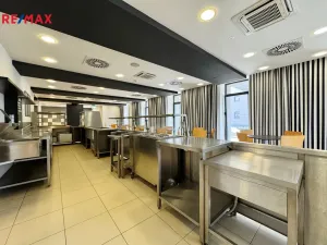 Pronájem restaurace, Písek - Pražské Předměstí, Vladislavova, 362 m2