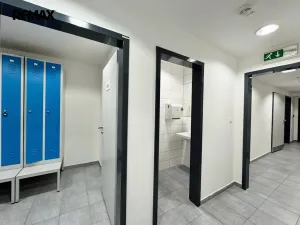 Pronájem restaurace, Písek - Pražské Předměstí, Vladislavova, 362 m2