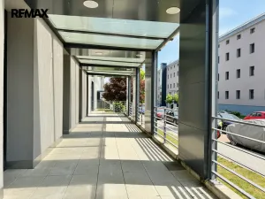 Pronájem restaurace, Písek - Pražské Předměstí, Vladislavova, 362 m2
