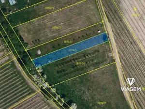 Prodej zahrady, Velké Bílovice, 388 m2