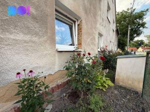 Prodej rodinného domu, Velké Albrechtice, 300 m2