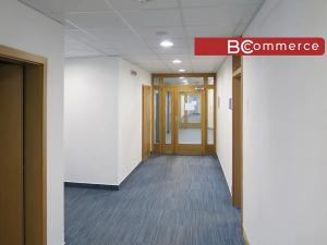Pronájem kanceláře, Brno, 200 m2