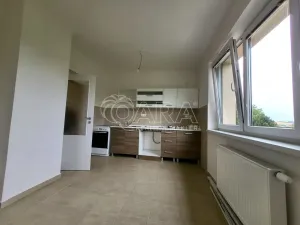 Pronájem bytu 4+1, Vochov, 90 m2