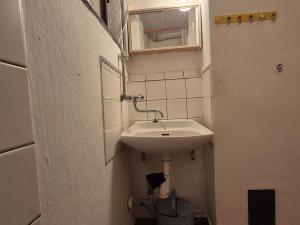 Prodej chaty, Kyselka - Radošov, 58 m2