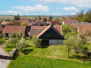 Prodej zemědělské usedlosti, Krasonice, 730 m2