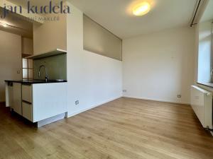 Pronájem bytu 3+kk, Brno, Zemědělská, 67 m2