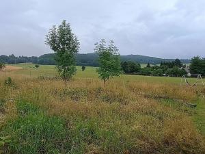Prodej rodinného domu, Černíkov, 450 m2