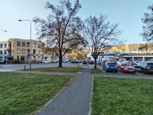 Pronájem bytu 1+1, Ostrava - Hrabůvka, Krestova, 34 m2