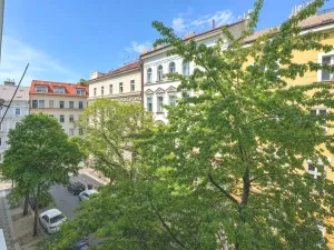 Prodej bytu 4+1, Praha - Vinohrady, Uruguayská, 165 m2