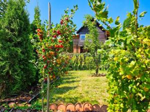 Prodej chaty, Životice u Nového Jičína, 15 m2