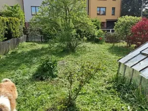 Prodej rodinného domu, Třebíč, Arbesova, 300 m2