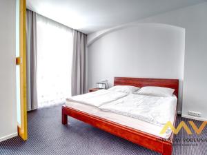 Pronájem bytu 2+kk, Hradec Králové, Malé náměstí, 98 m2