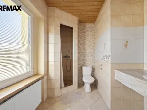 Prodej ubytování, Janské Lázně, Krkonošská, 339 m2