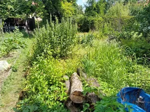 Prodej rodinného domu, Brno, Slovinská, 64 m2