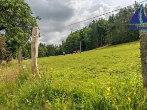 Prodej chalupy, Jablonec nad Jizerou, 180 m2
