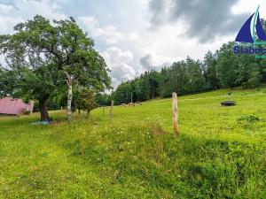 Prodej rodinného domu, Jablonec nad Jizerou, 180 m2