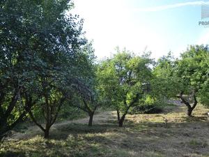 Prodej chaty, Ochoz u Brna, 42 m2