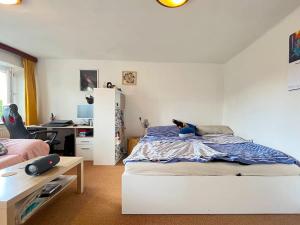 Pronájem bytu 1+1, Brno, Botanická, 41 m2