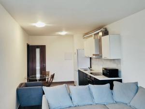 Pronájem bytu 2+kk, Praha - Žižkov, Olgy Havlové, 57 m2