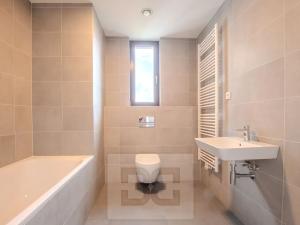 Pronájem bytu 1+kk, Praha - Hrdlořezy, V třešňovce, 37 m2