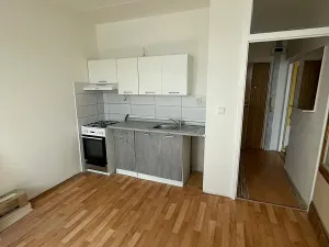 Prodej bytu 1+1, Jirkov, Na Borku, 40 m2