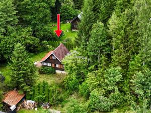 Prodej chaty, Nová Cerekev - Stanovice, 55 m2