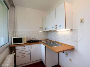 Pronájem bytu 1+kk, Hradec Králové - Slezské Předměstí, Třebechovická, 34 m2