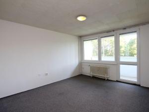 Pronájem bytu 1+kk, Hradec Králové - Slezské Předměstí, Třebechovická, 34 m2