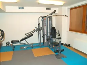 Pronájem bytu 1+kk, Praha - Žižkov, Kališnická, 39 m2
