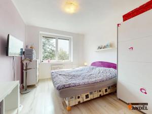 Prodej bytu 4+1, Havířov, Rušná, 86 m2