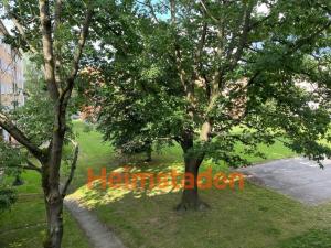 Pronájem bytu 3+1, Havířov - Město, Ostrovského, 61 m2