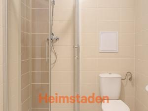 Pronájem bytu 2+kk, Havířov - Šumbark, Klimšova, 46 m2