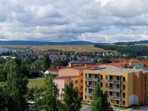 Prodej bytu 2+1, Tachov, Bělojarská, 62 m2