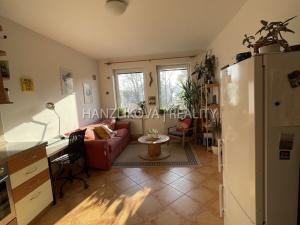 Pronájem bytu 2+kk, České Budějovice - České Budějovice 3, Holečkova, 55 m2