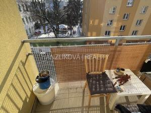 Pronájem bytu 2+kk, České Budějovice - České Budějovice 3, Holečkova, 55 m2